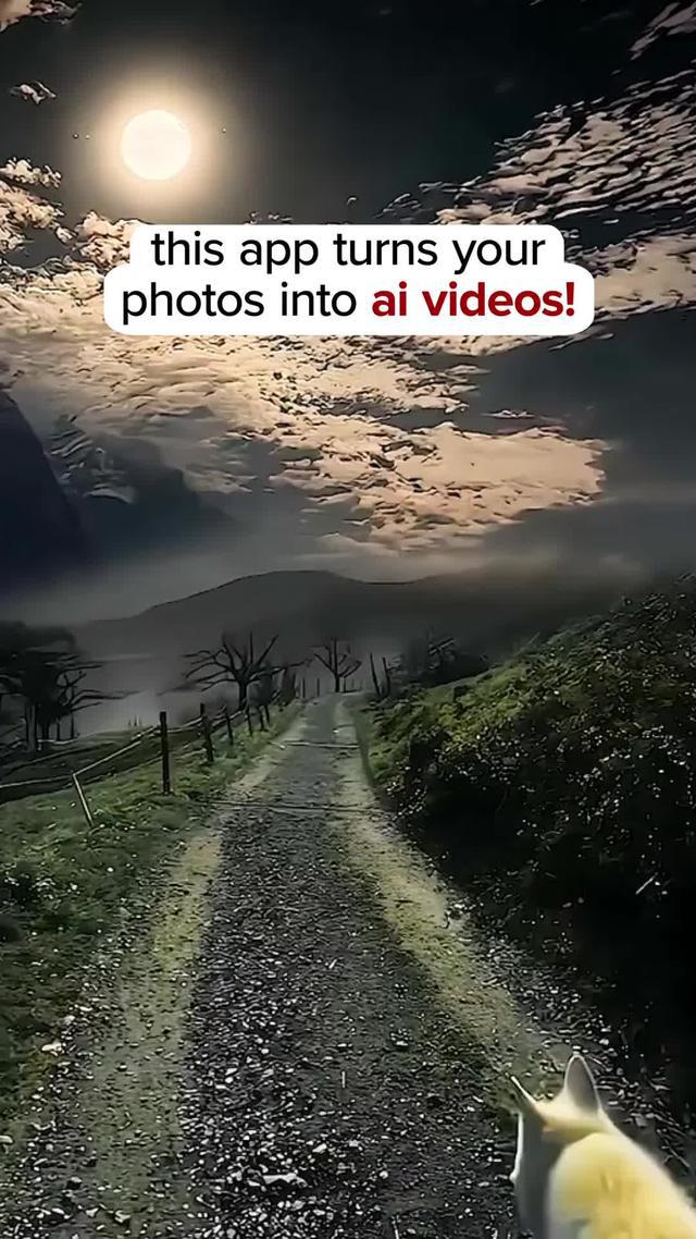 This app creates amazing AI videos!