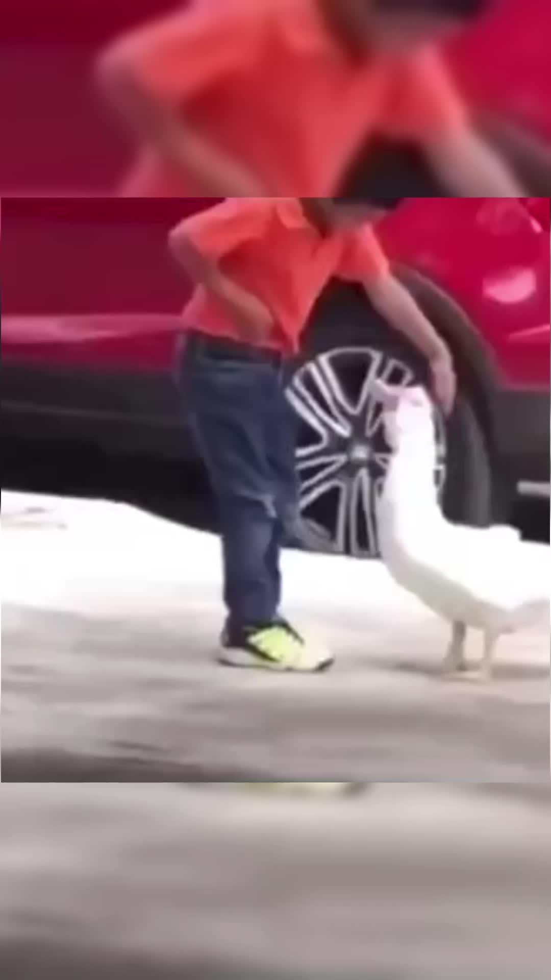 Best Benifits in the MU Series