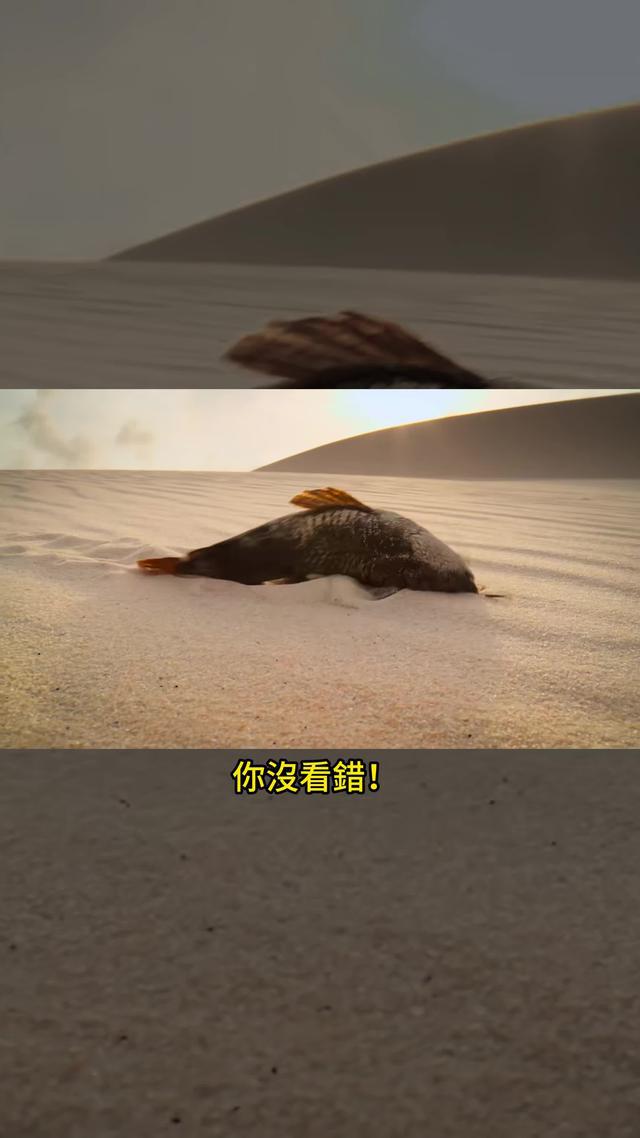 細膩逼真的3D畫面，帶你體驗釣魚的視覺盛宴！立即下載歡樂釣王傳奇！