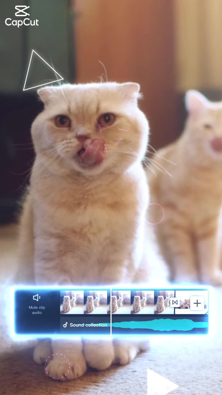 Enhance Videos with Fun Stickers and Sophisticated Fonts 