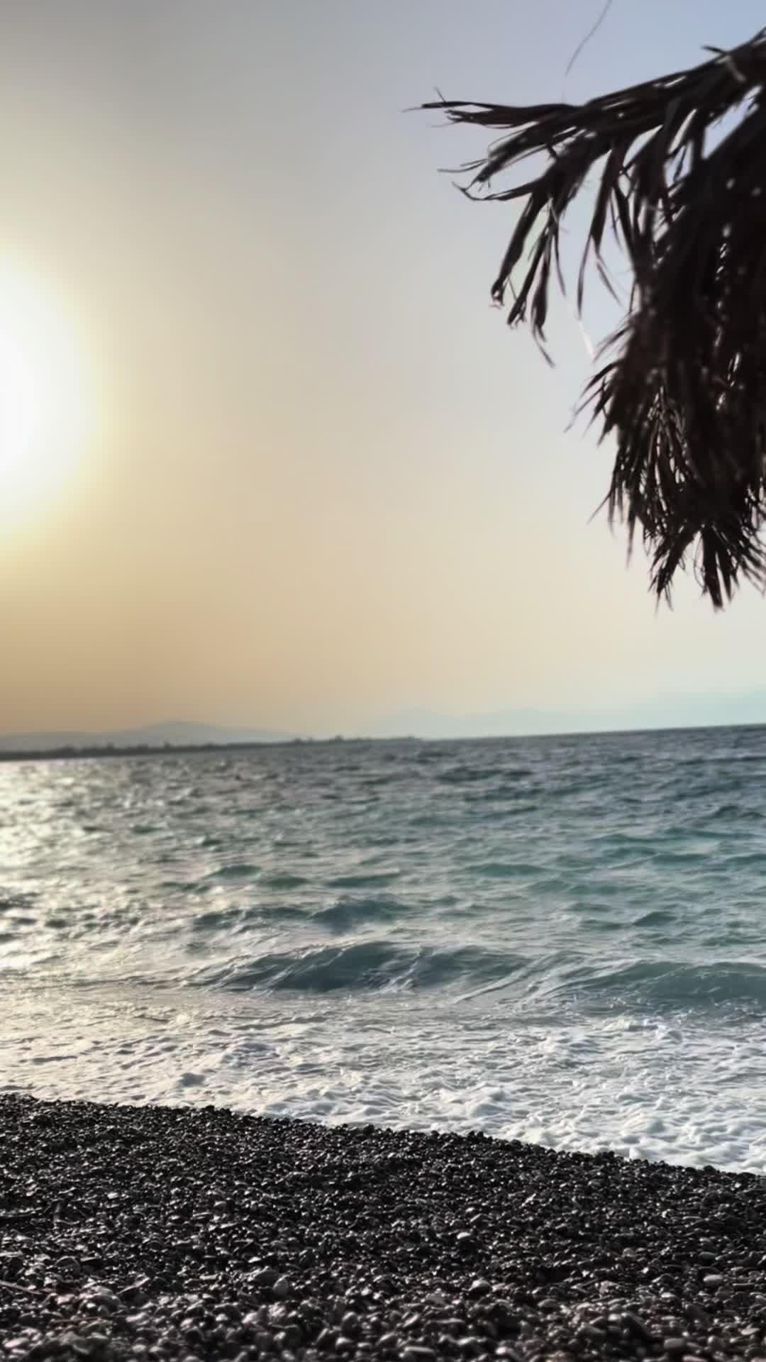 Trust in the Lord. #bible #lord #god #jesus #verse 