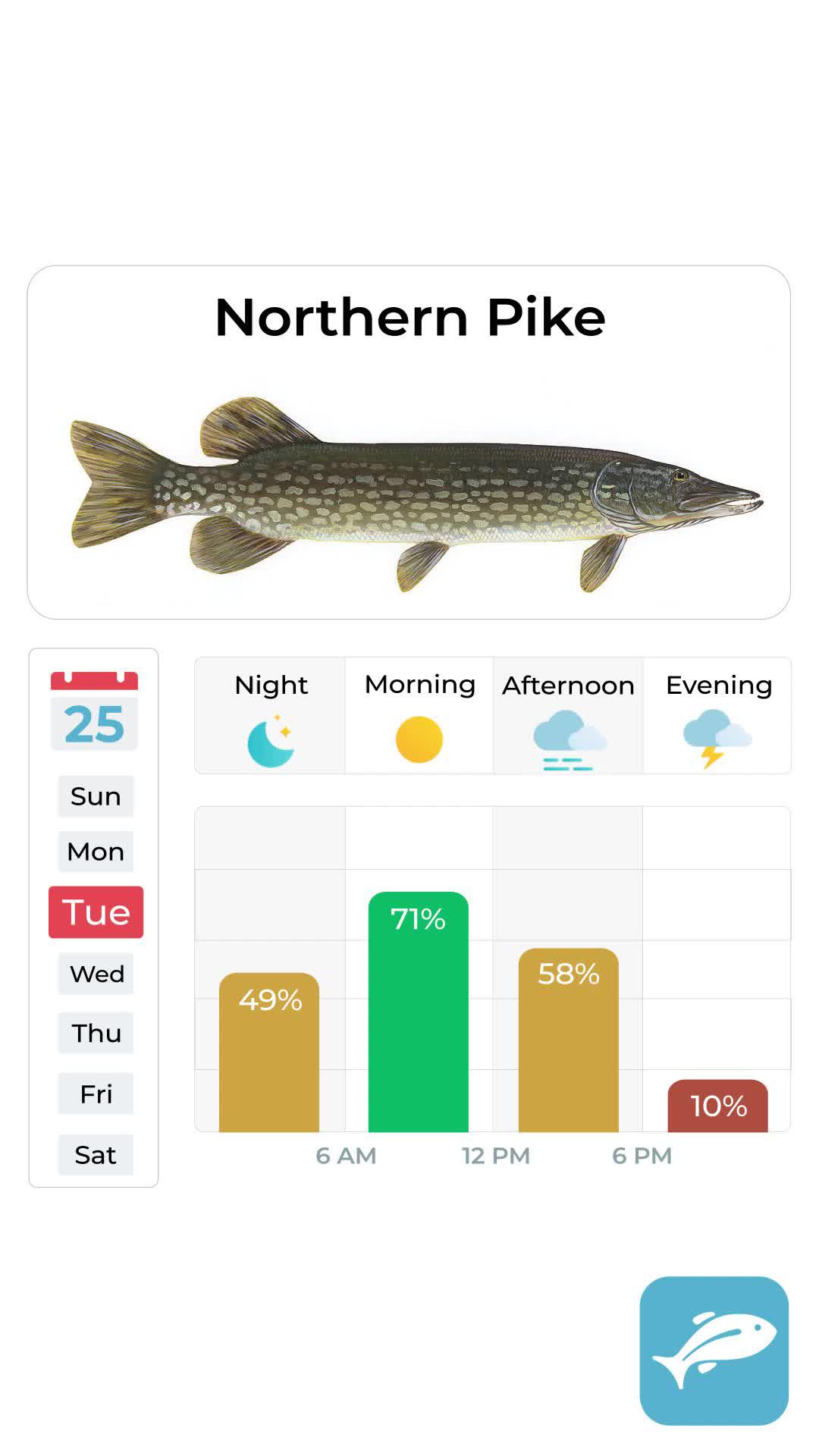 Find the best fishing spot with real-time mapping and expert tips