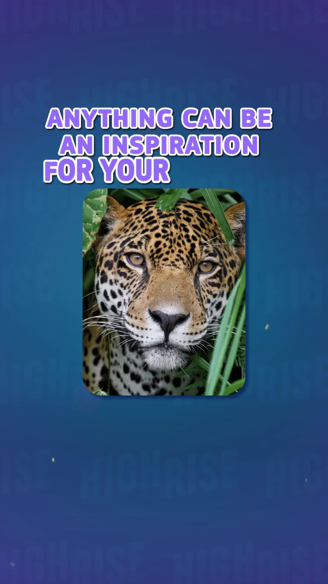 Download Highrise today!