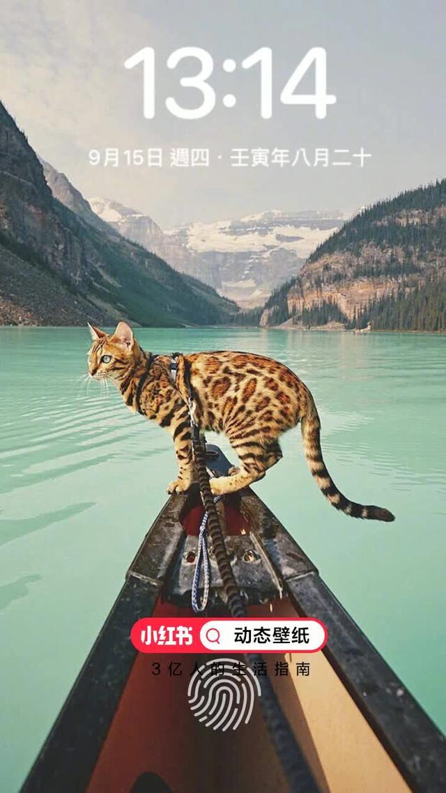 年輕人紛紛湧向小紅書！來小紅書搜尋<動態壁紙>吧！