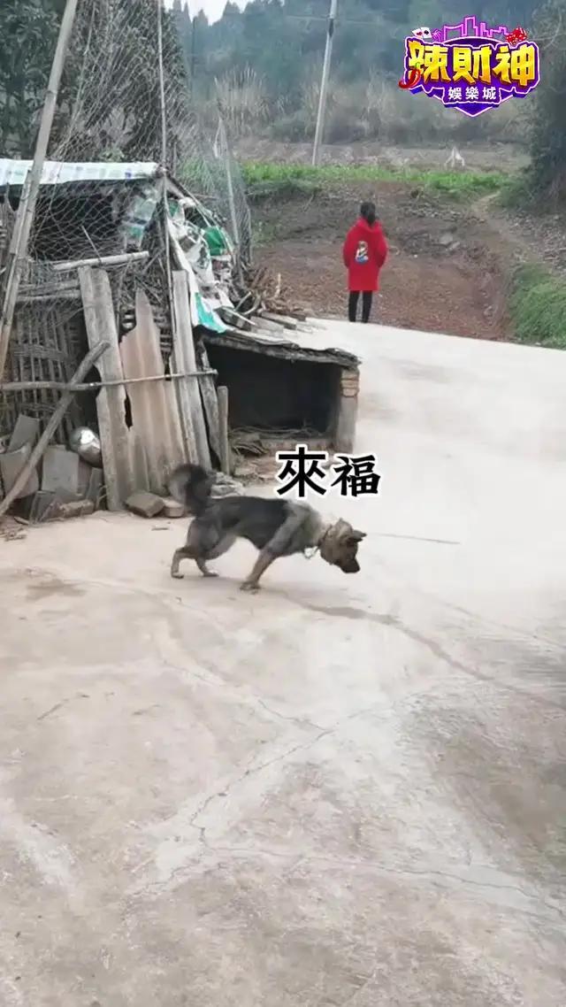 福來好運轉 下載送20萬遊戲幣