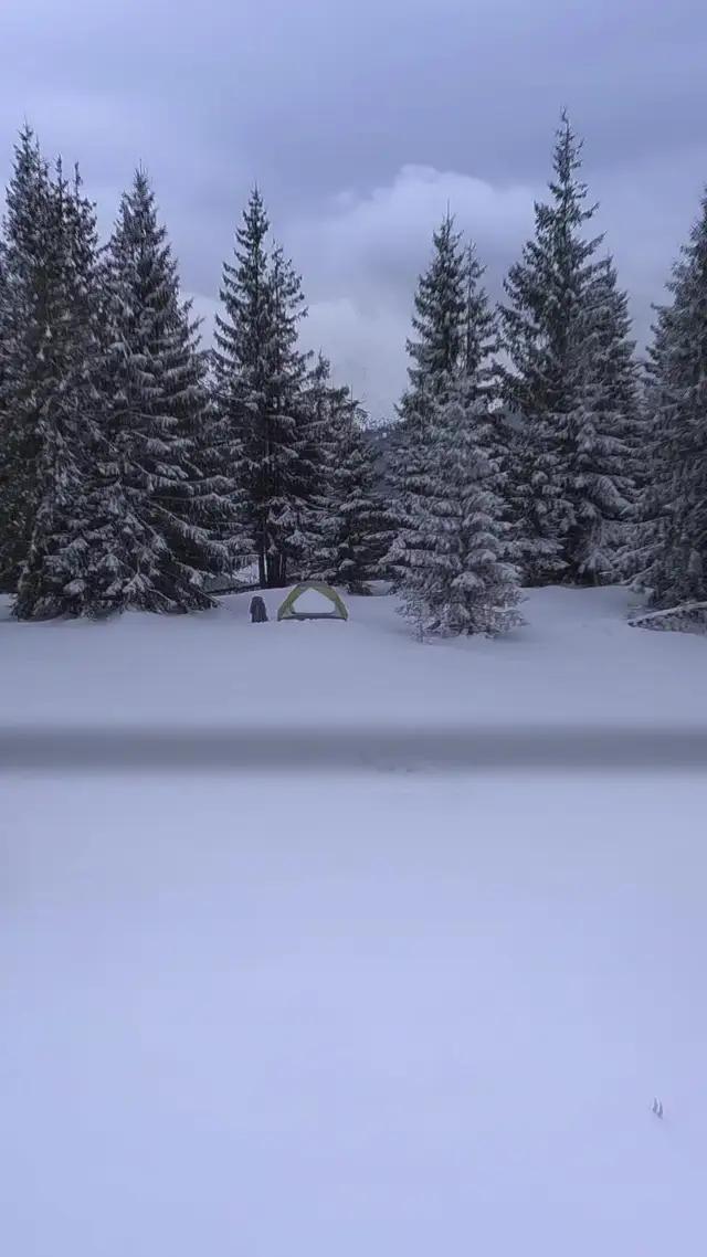 Hayat Finans mobil uygulamasını hemen indirin, birikimlerinizi büyütmeye başlayın!