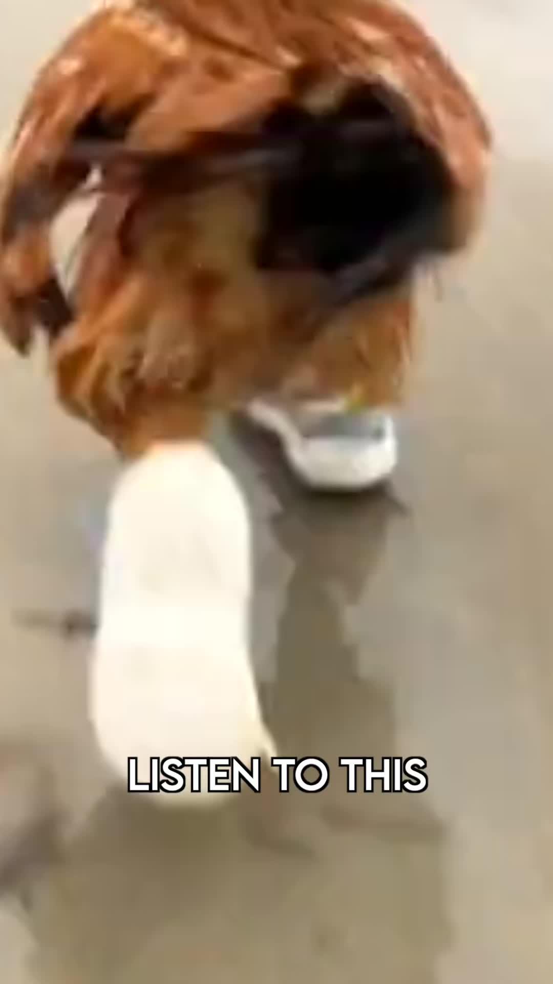 Get the perfect workout plan!