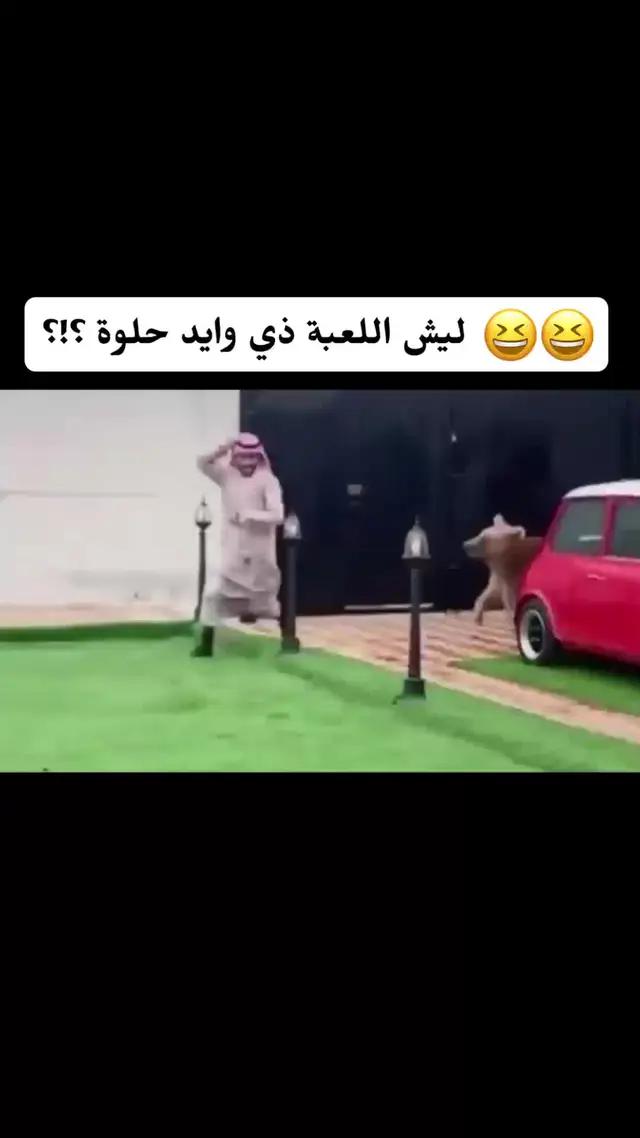 قابل أصدقاء جدد واستمتع باللعبة!