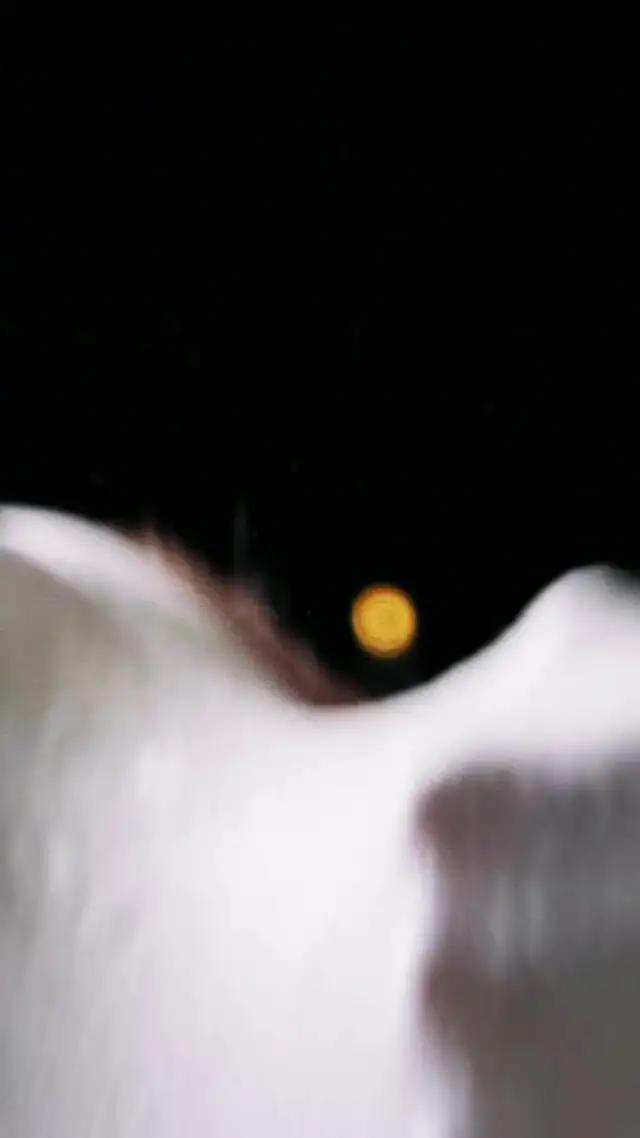 Comida rica, entrega rápida