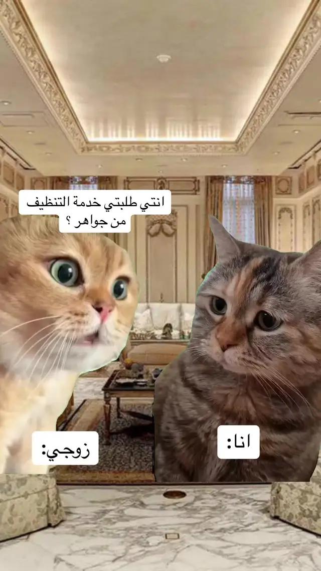 احجزي خدمة التنظف من تطبيق جواهر خدمة خمس نجوم ⭐️⭐️⭐️⭐️⭐️ حملي التطبيق الان 📱#اكسلبور #تنظيف_المنزل #fyp #cleantoks #خدمة_التنظيف #اكسبلور_تيك_توك #الشعب_الصيني_ماله_حل😂😂 