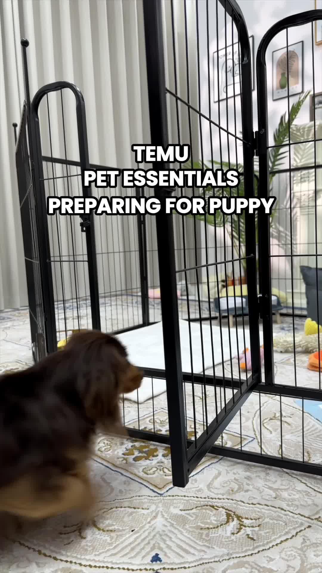 🌟 Pet lovers, behold!💖 Snag the pet essential where love meets innovation on Temu. 🐥🛍️ #BackyardBliss #TemuLove#TemuPets#TemuPetsFinds