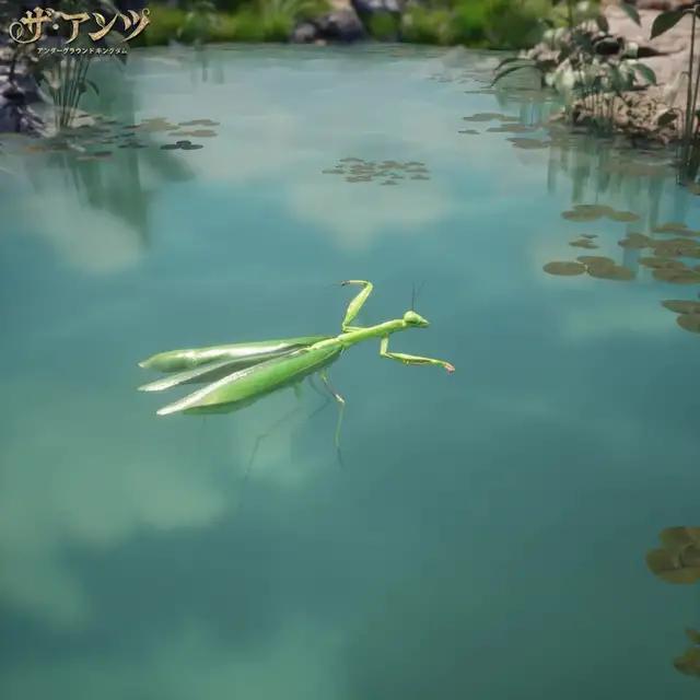 これは蟻族の崛起のだ