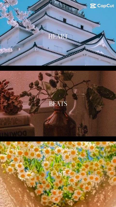 Heart - Beat - Fast #Calendar  #background  #calendar  #planner  #planneraddict #plannercommunity #productive #productivity #app #cutecalendarapp
