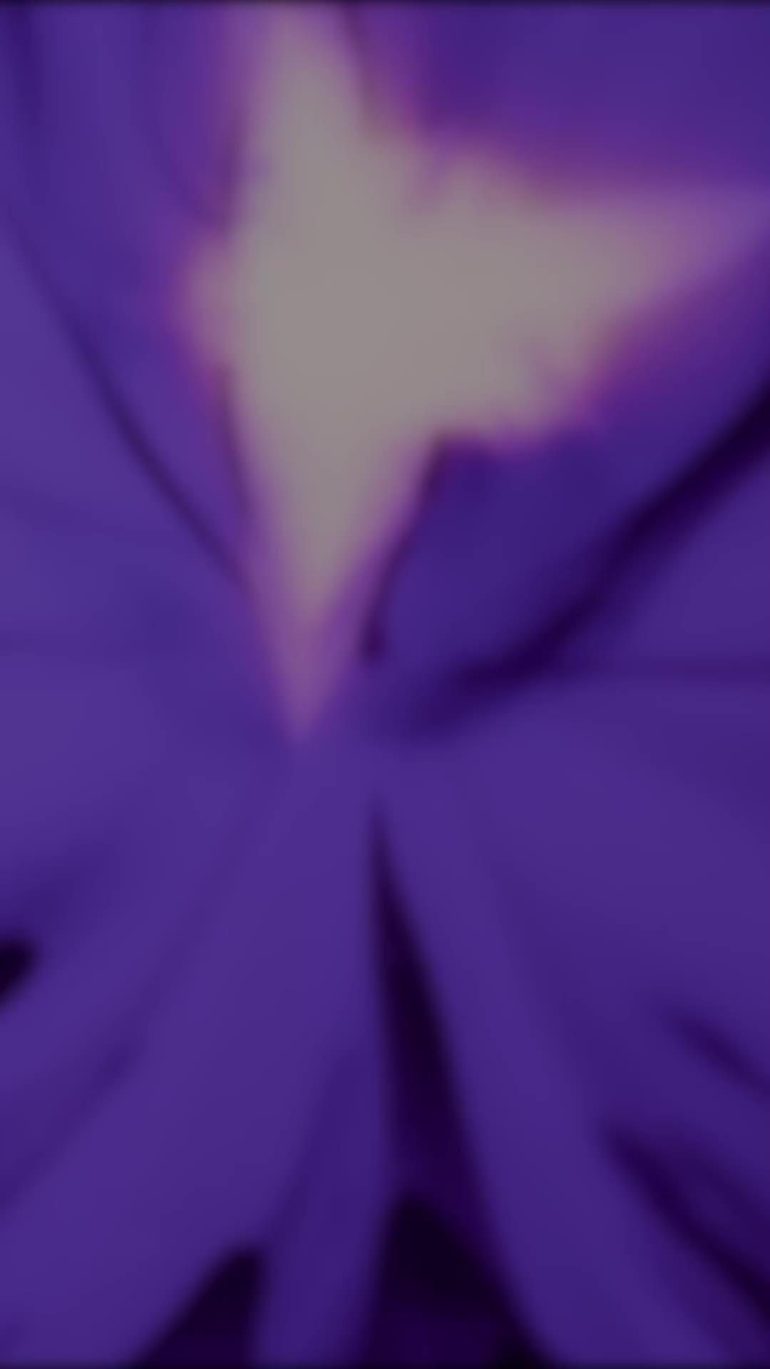 HD Wallpaper: 4K Background & Live Wallpapers!