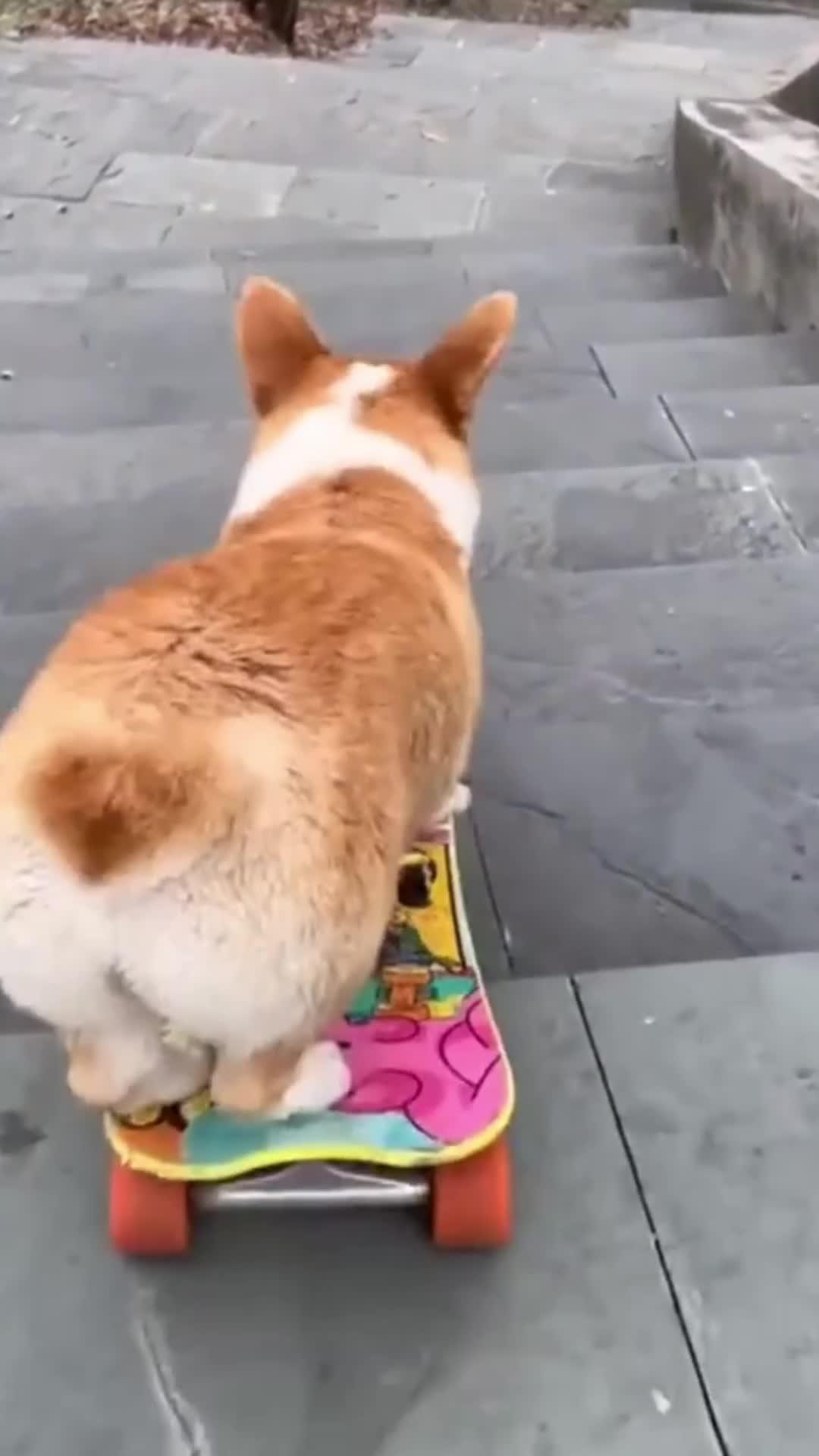 Ask anything. Get answers immediately. Your Super AI Chat.