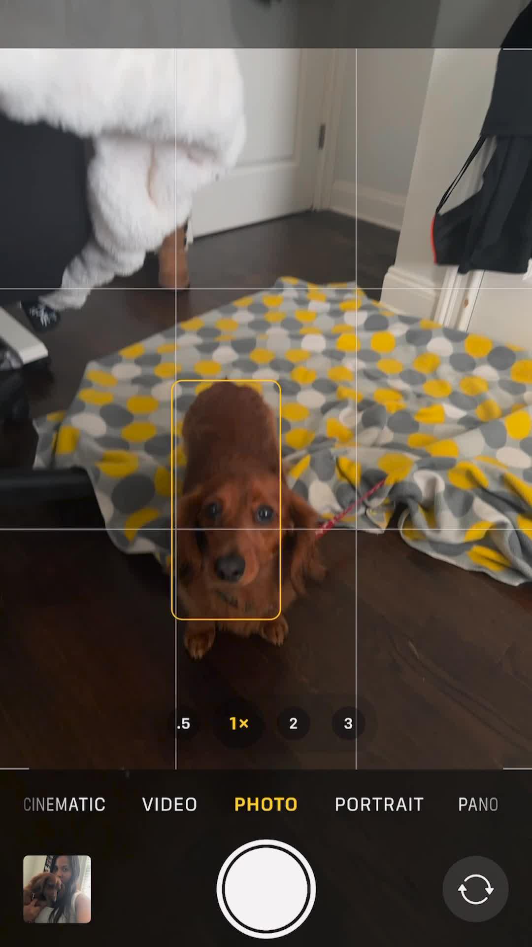 Get amazing photos with this AI app