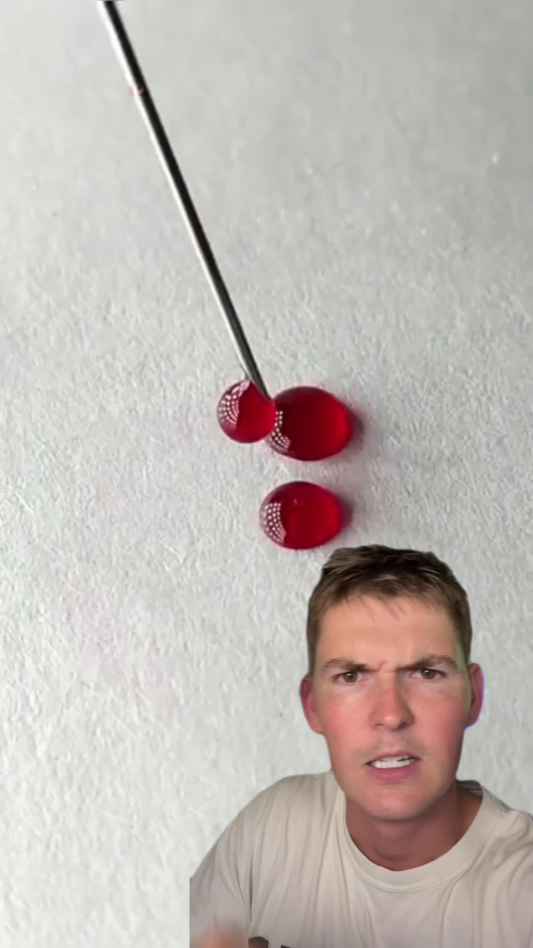 Ants are really cool creatures!!