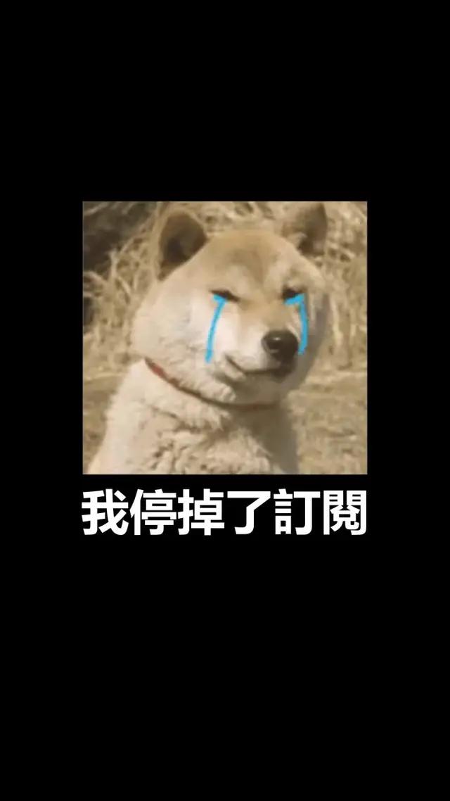 一起免費看影片吧！