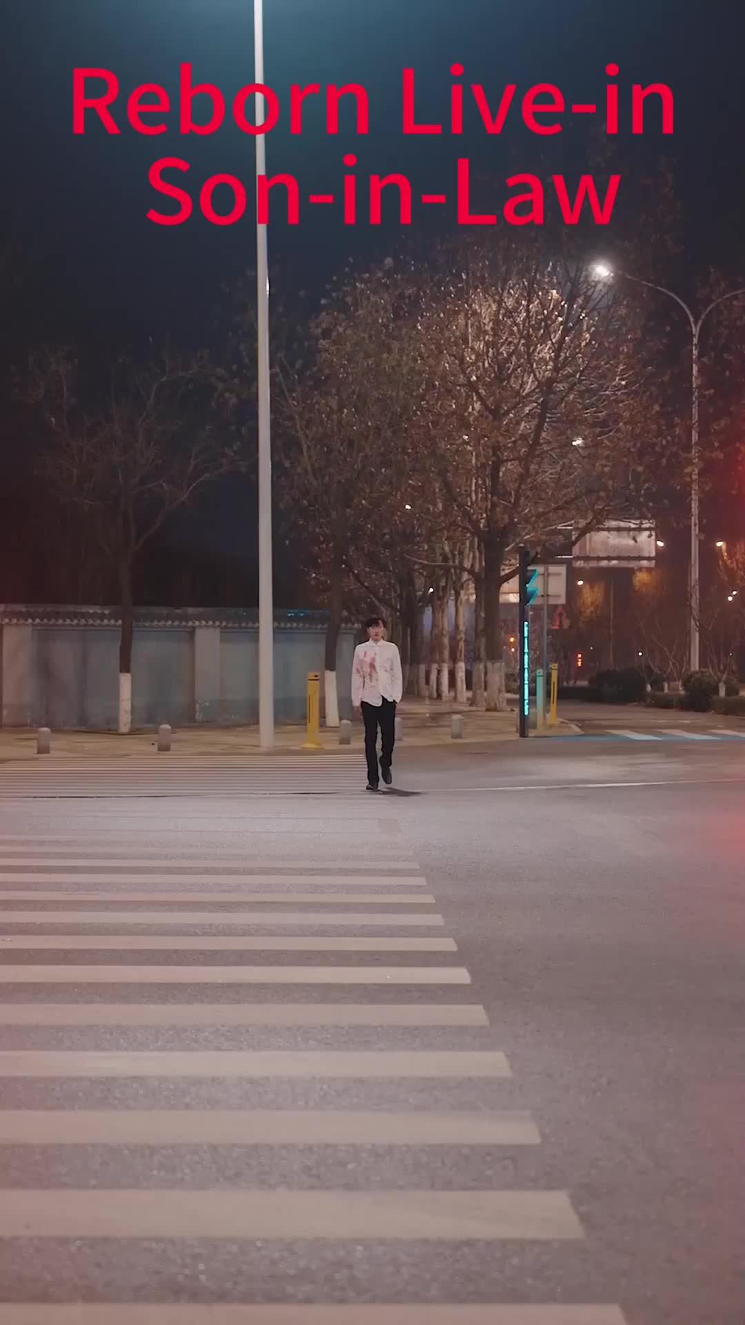 Reborn Live-in Son-in-Law