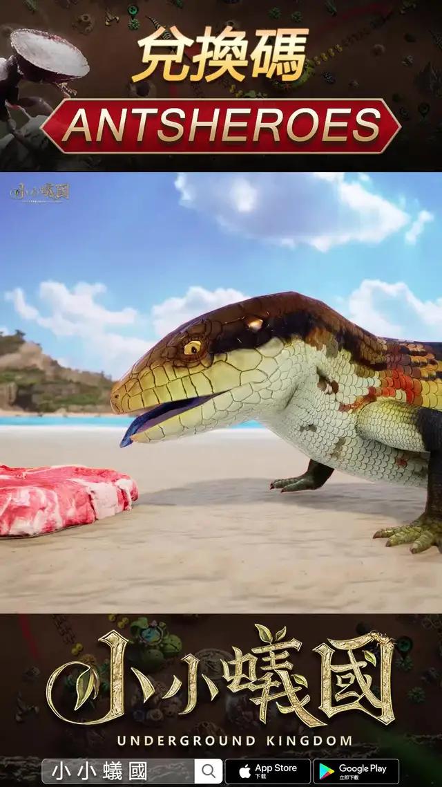 開戰螞蟻王國！！！