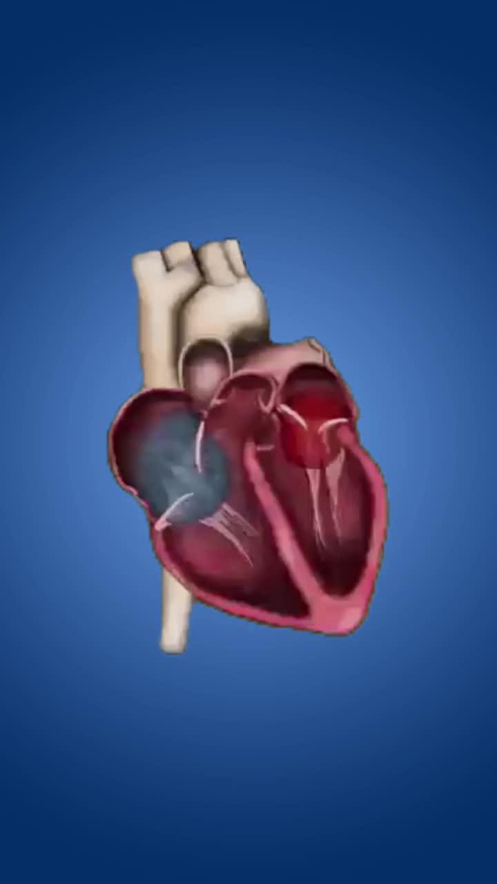 Test your heart rate anytime, anywhere