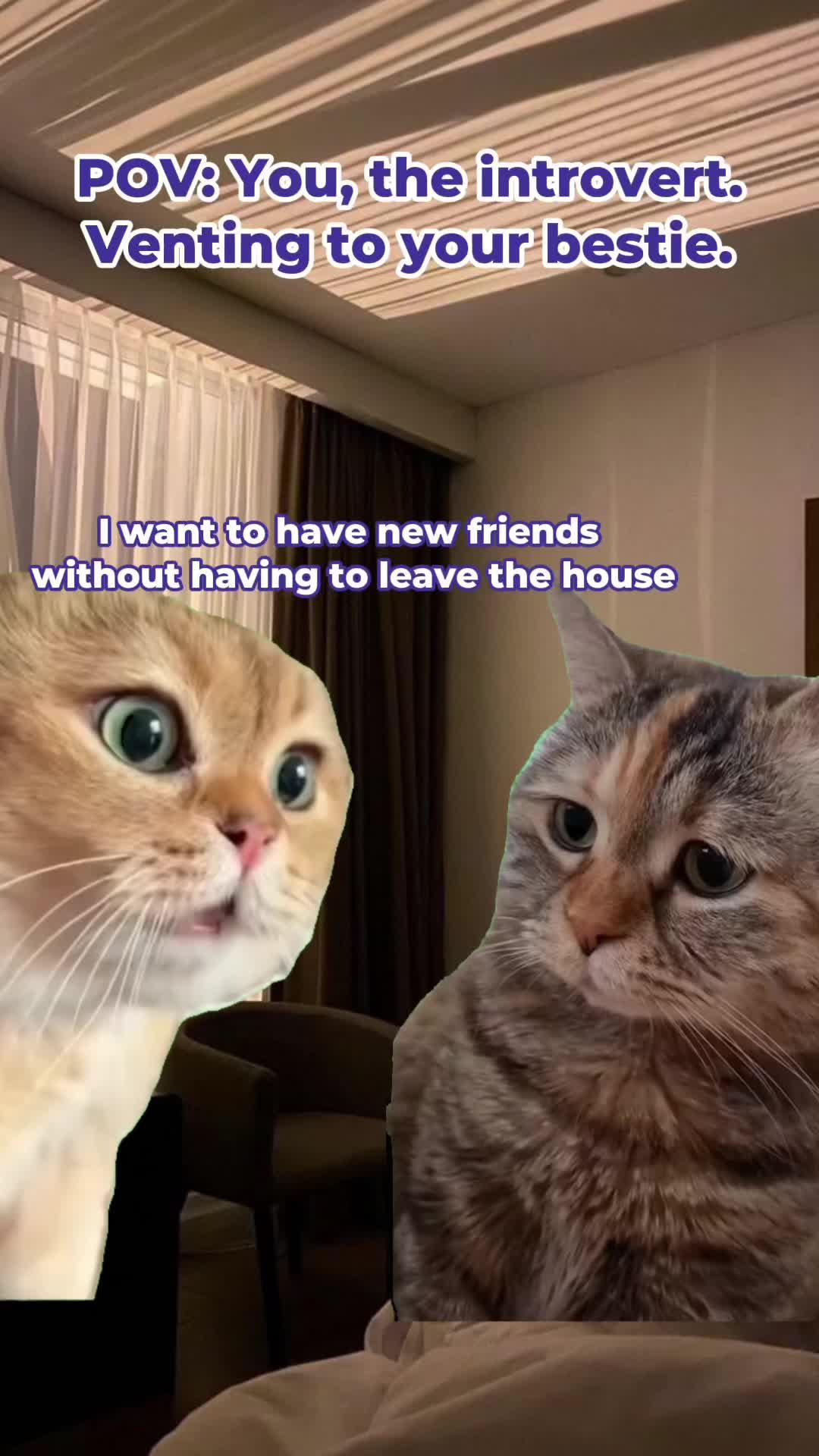 Make new friends. Share new emotions.