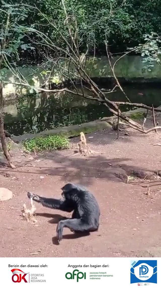 Bersertifikat resmi, dapatkan uang tunai dalam 1 min