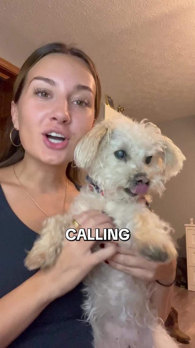 Ollie is stress-free photo curation in just a few taps.