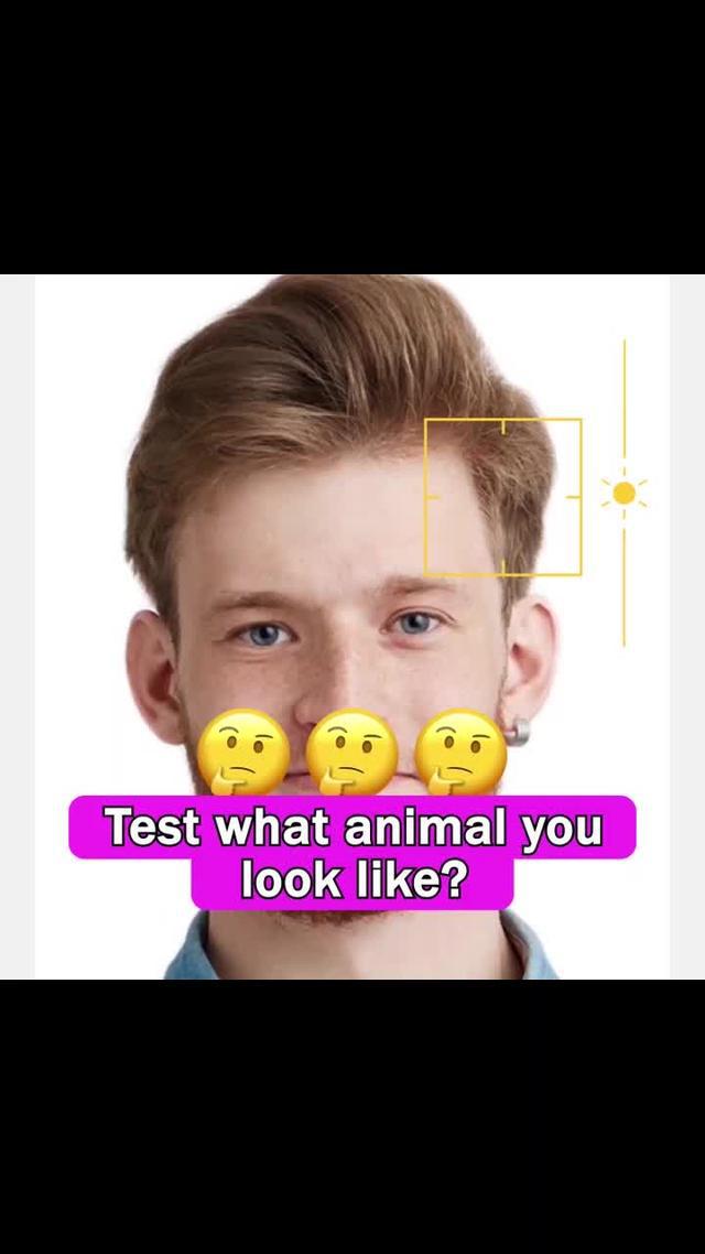 What animal do you look more like?