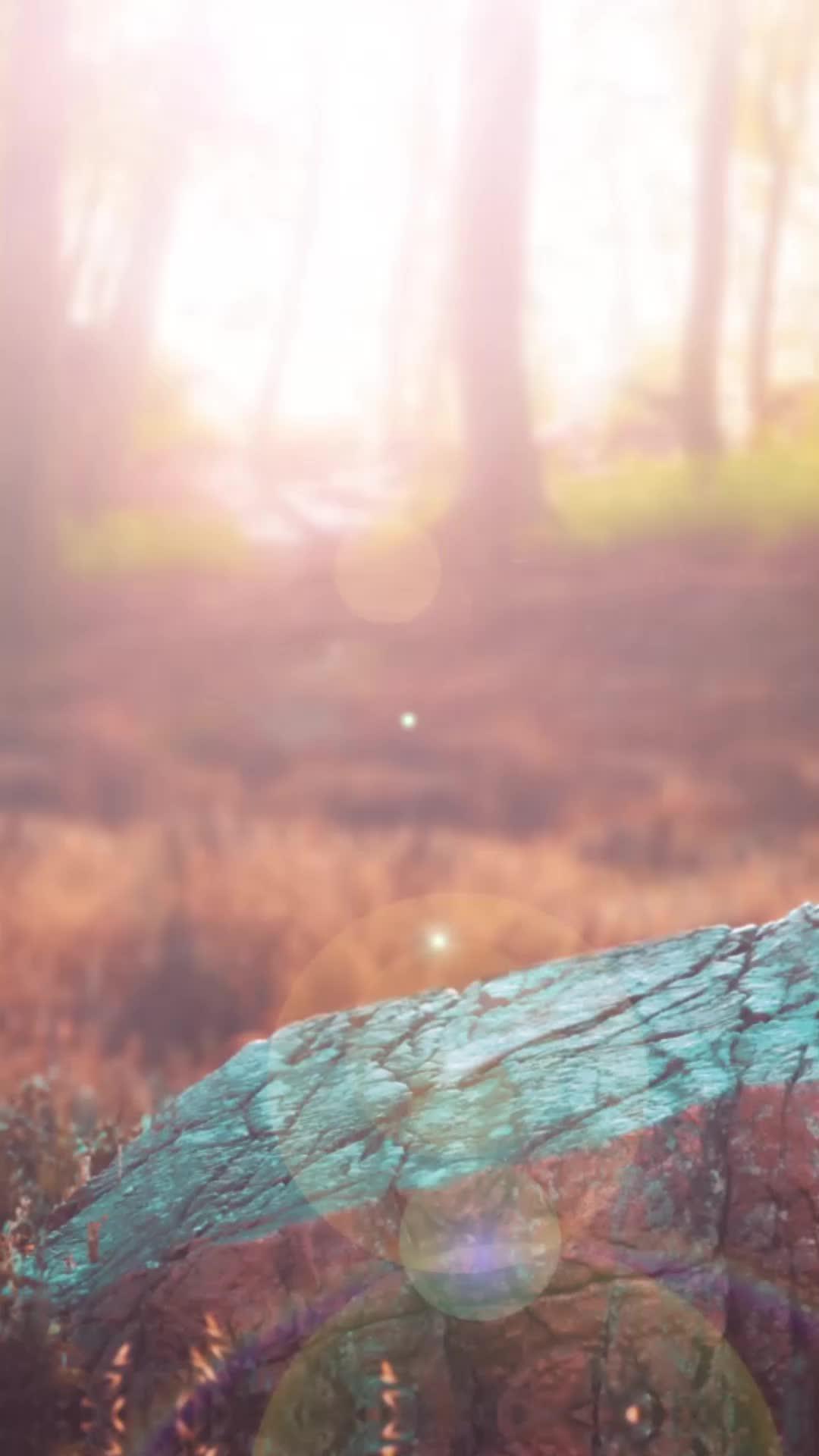 ブレイド育成でG.O.Hと会おう