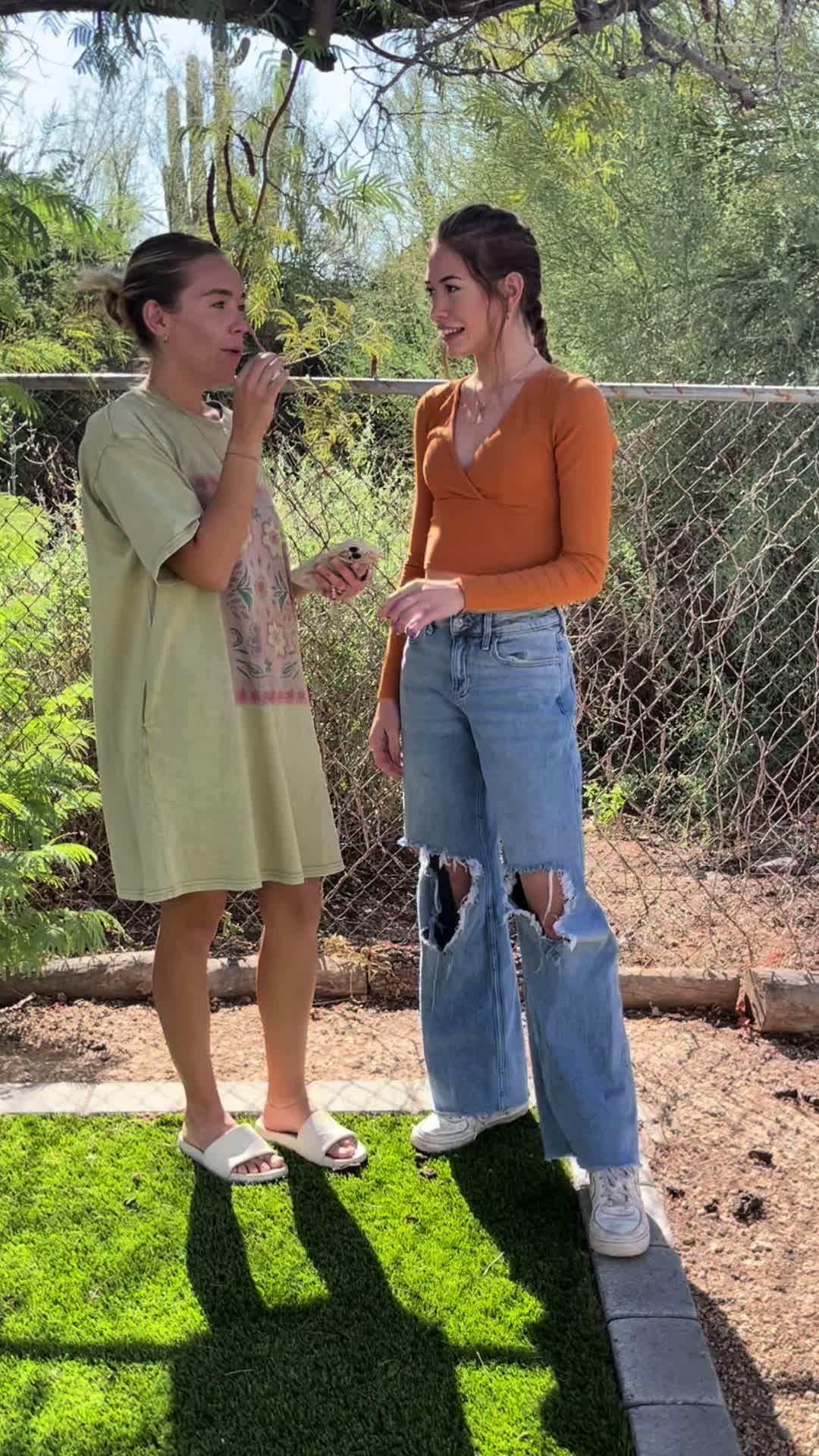 Study for both your DMV permit test and driving test