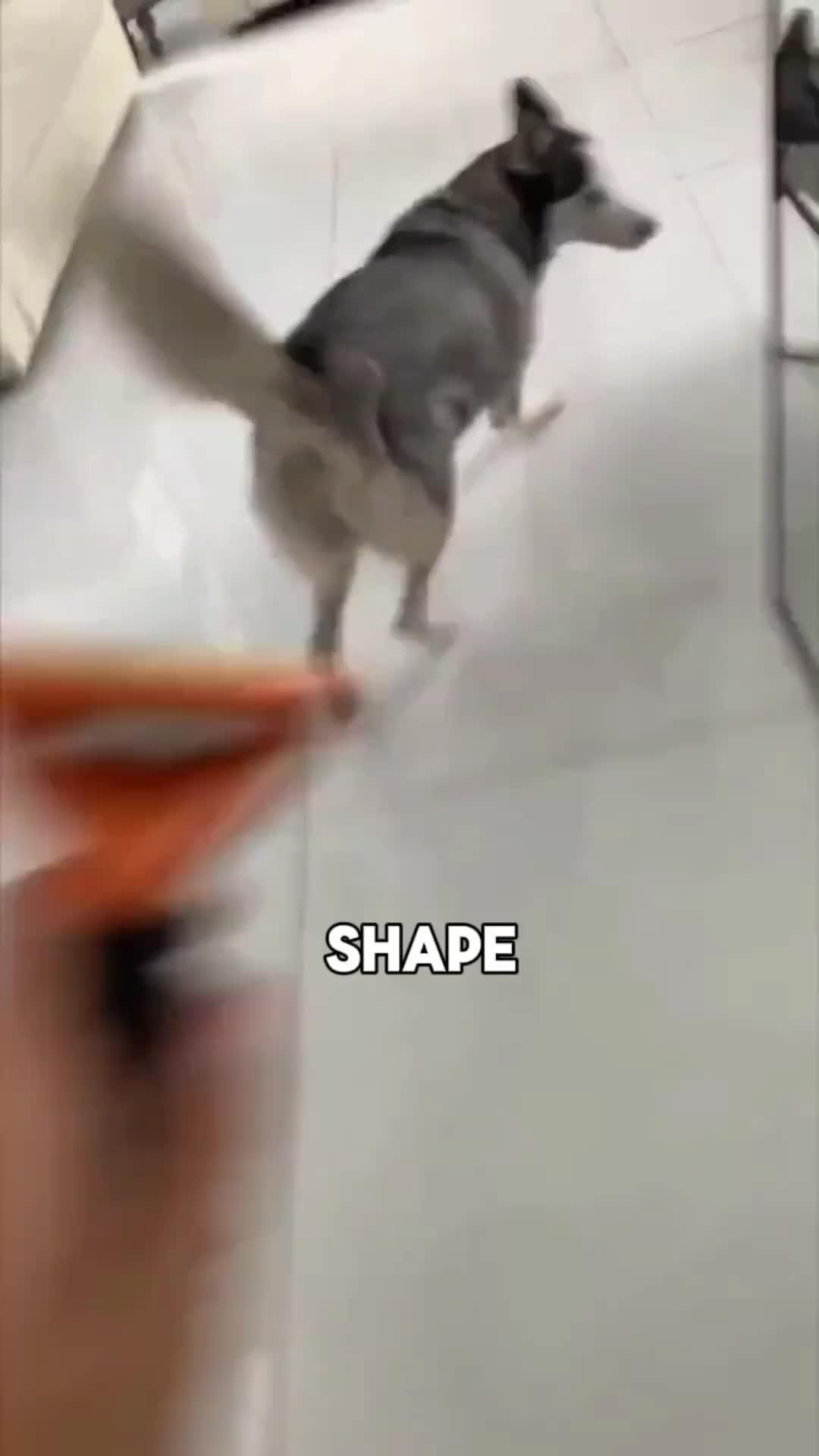 AI Foodscanner