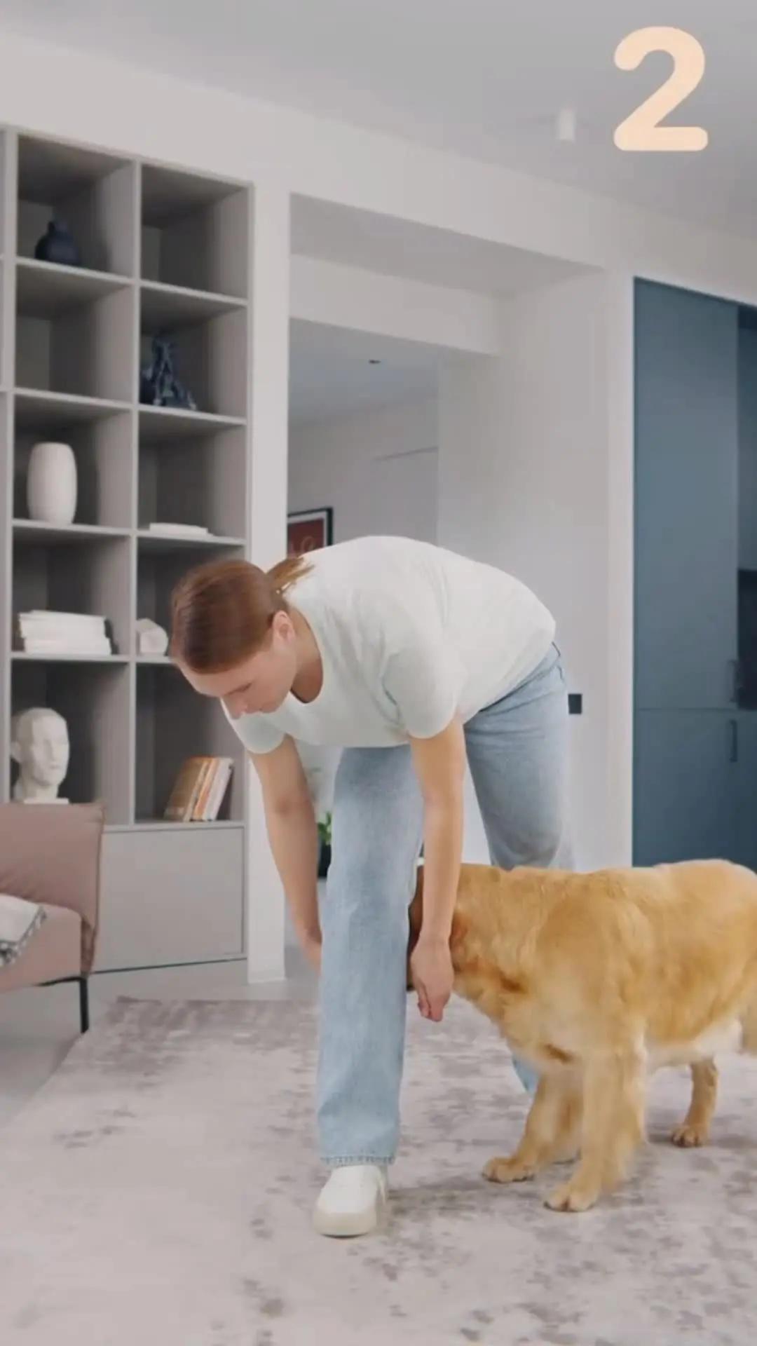 The best dog training app for your flurry friend!