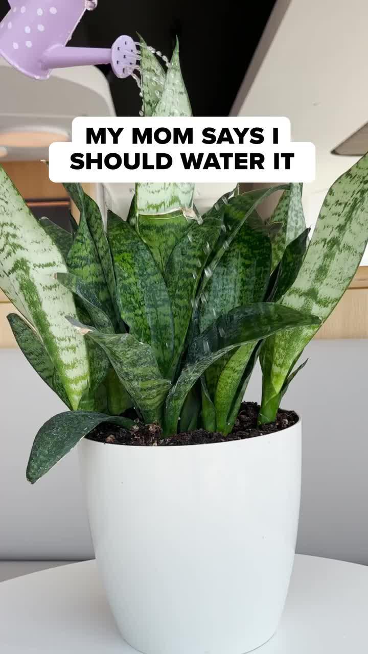 Did you try this before? Come on! Download for FREE!