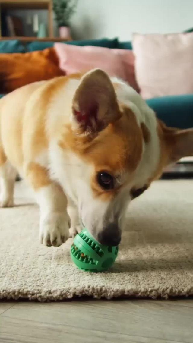 Check out this fantastic collection of 3D wallpapers, make your phone cool!