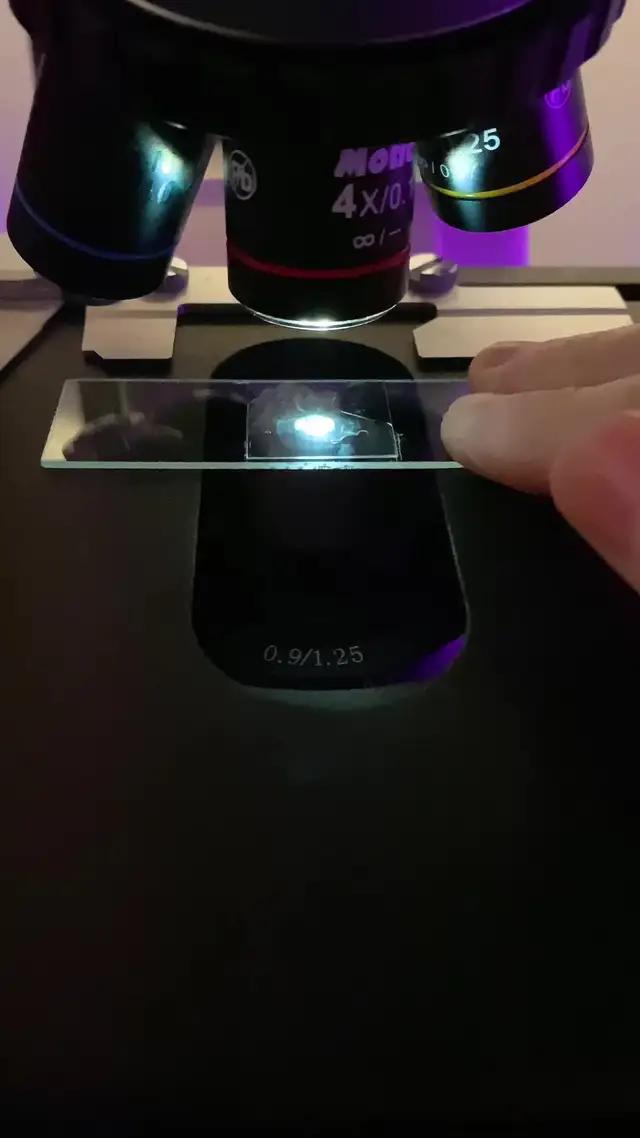 Installiere Instagram und sei in deinem Element.