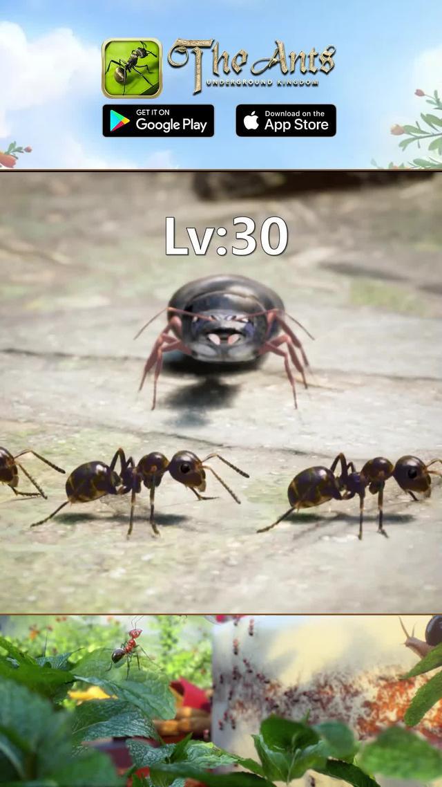 Build Your Ant Empire!