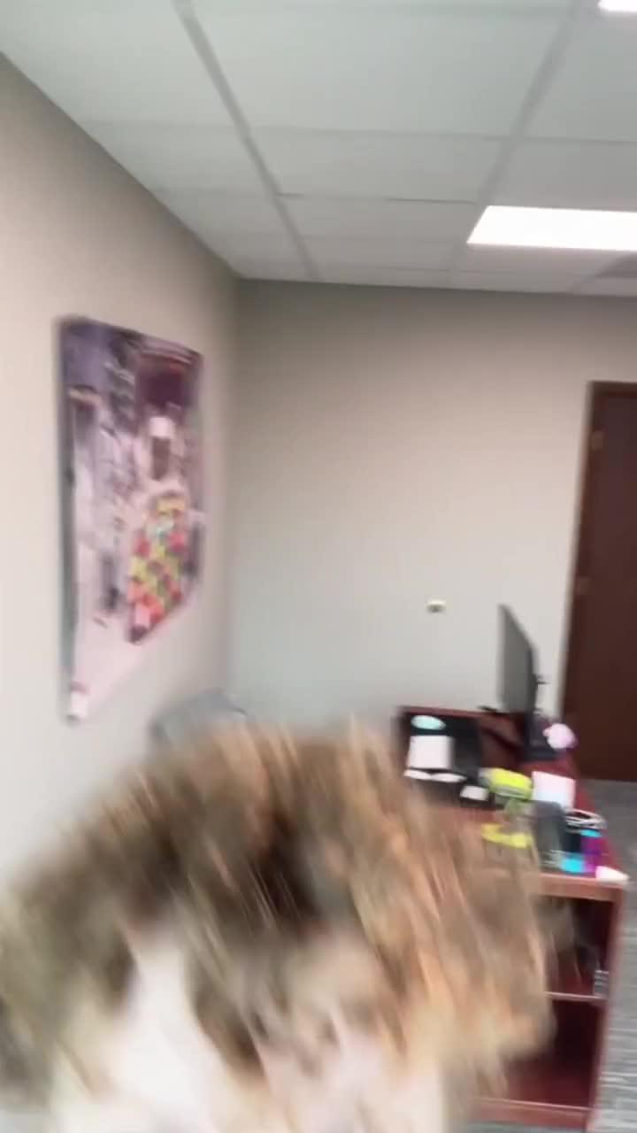 Touch your toes now!