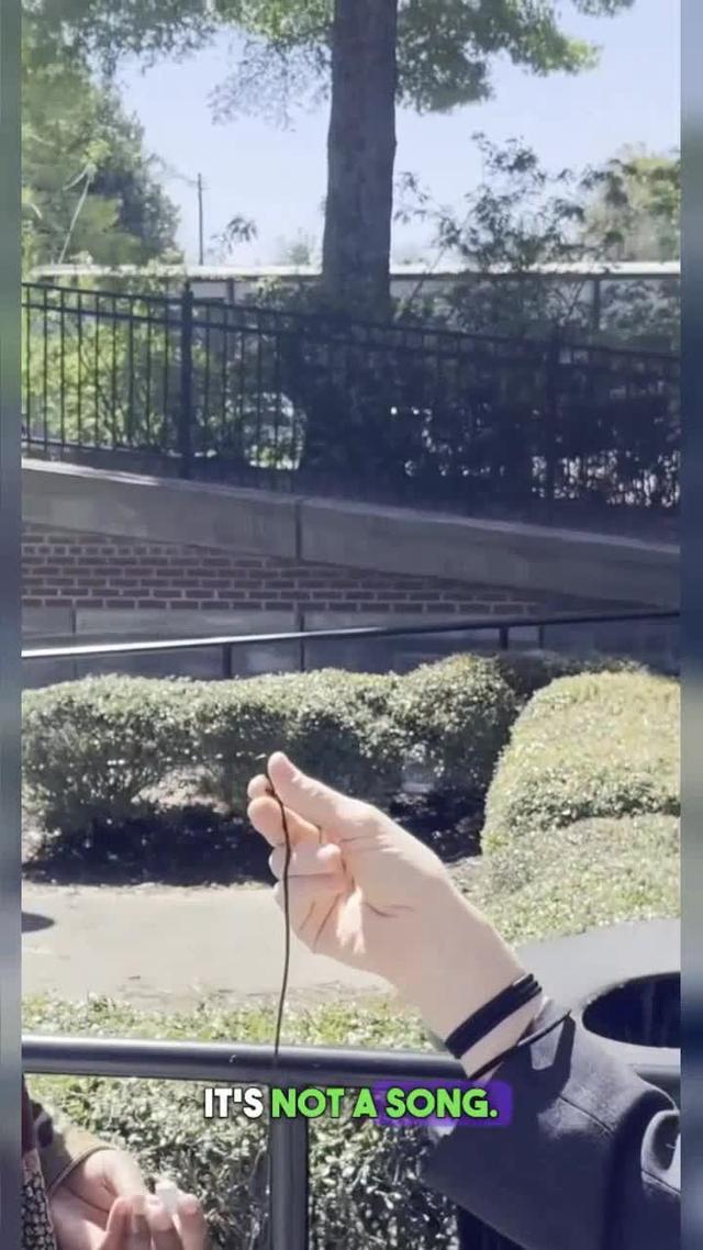 Peech: There is always an audiobook for you