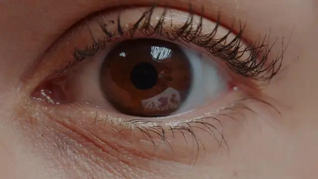 Do You Know Yourself? Try Our AI Psychologist & Physio app, that leverages your personality.