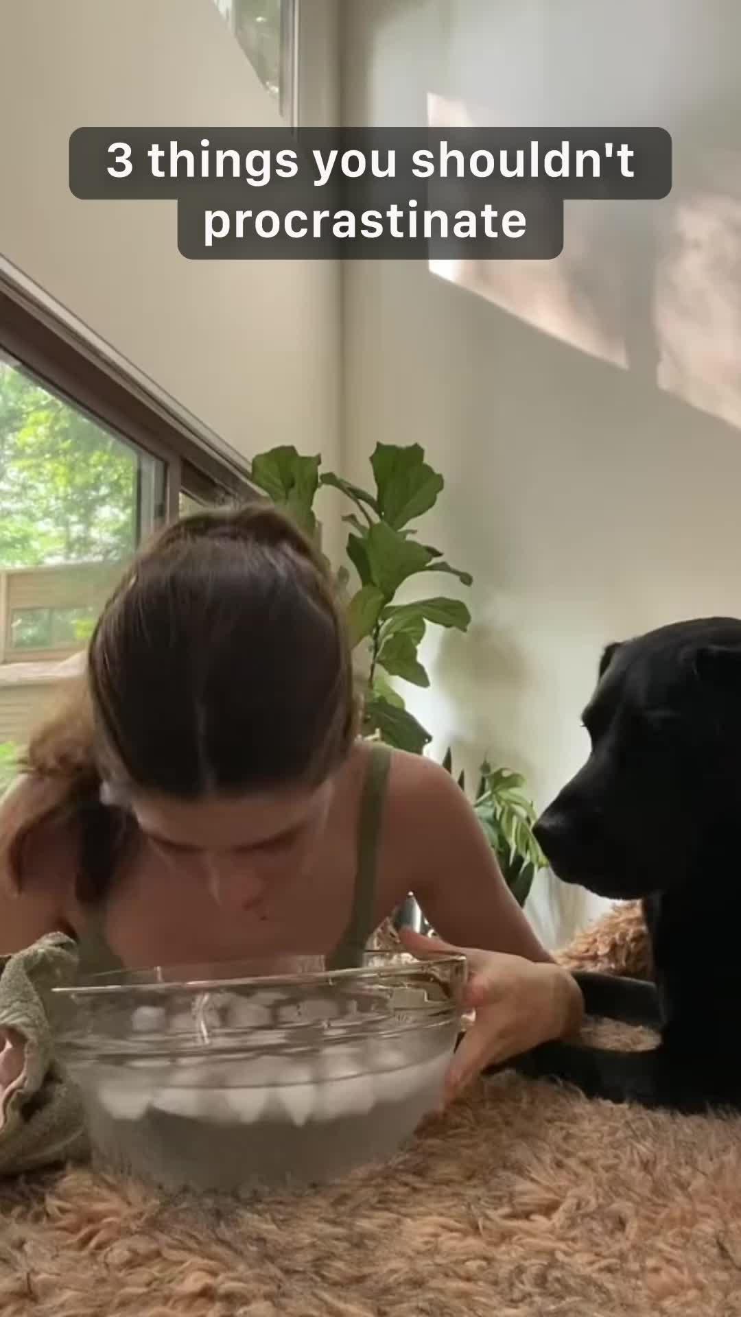 Stay Organized and Achieve More with Mindway!