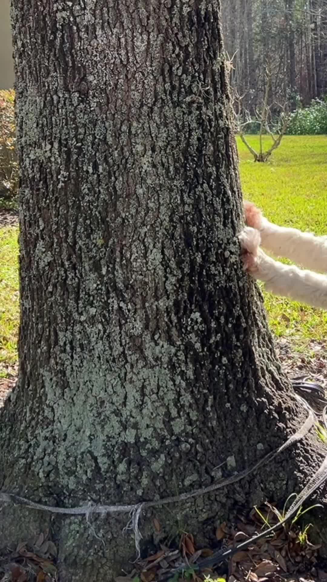 Download NOW for FREE!