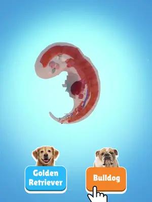 Can you take care of your furry friends?