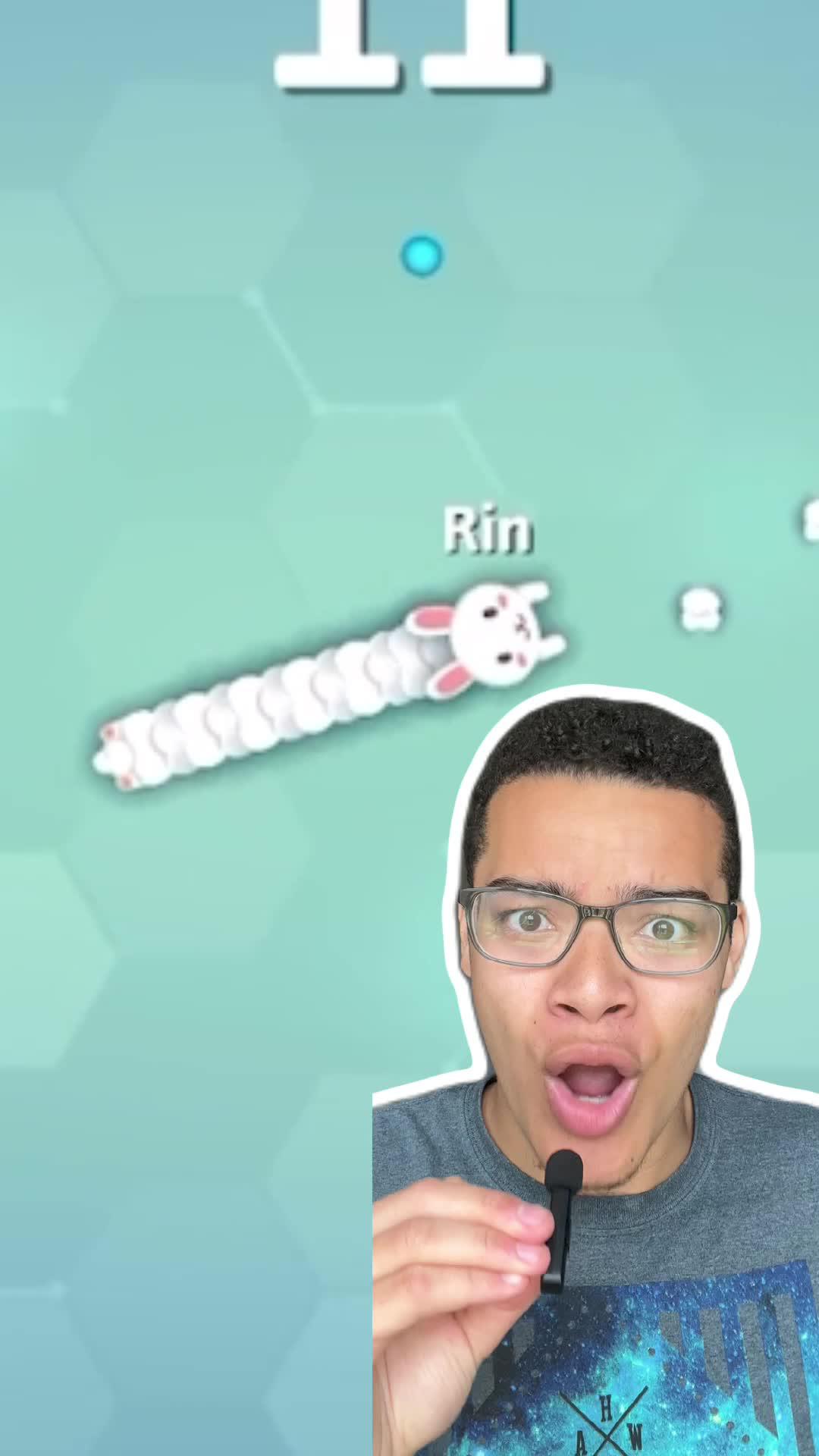 Play the most popular snake arcade .io game!