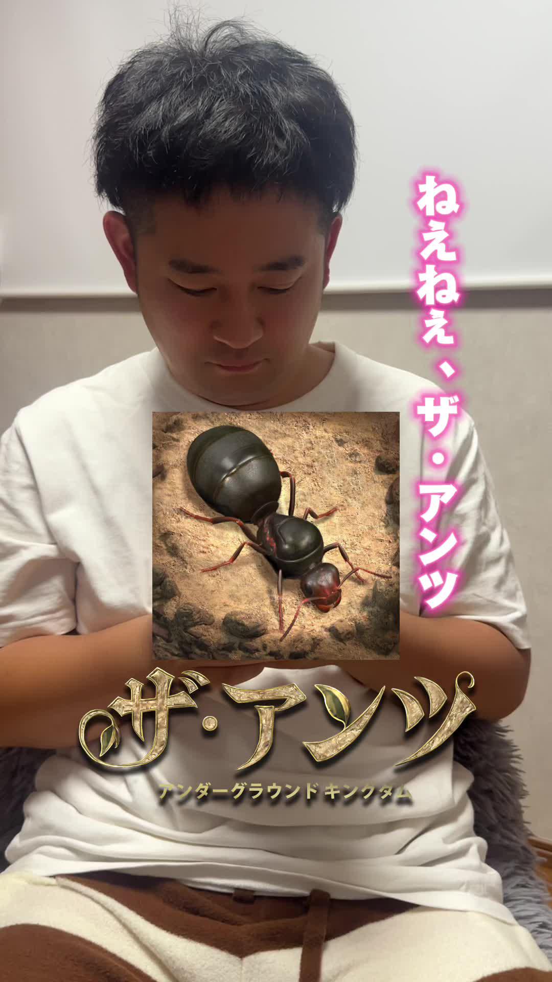 あなたのアリ帝国を築き上げろう