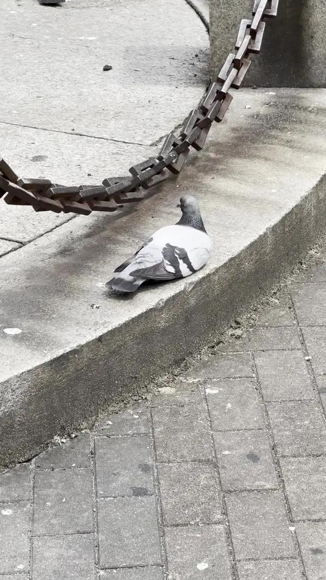 金欠の人は見て！