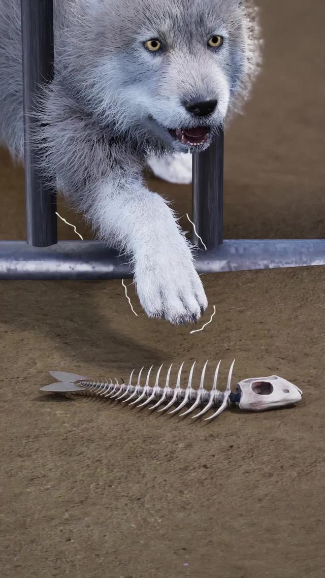 Try to survive and become stronger in the wild!