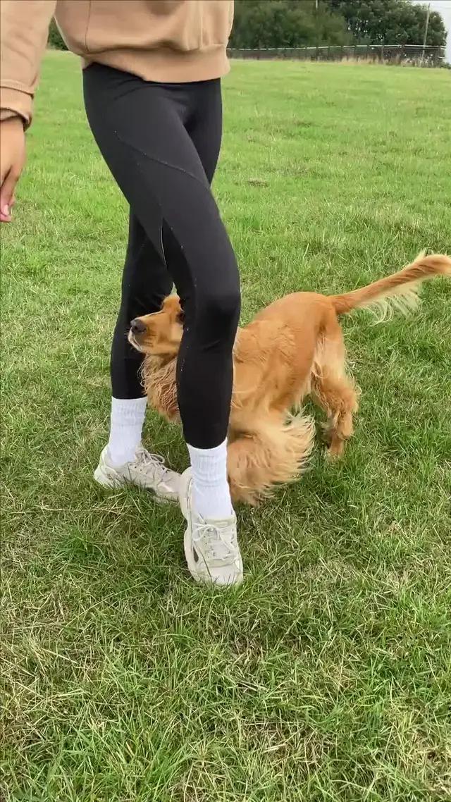 Für alle Hundefreunde geeignet :)