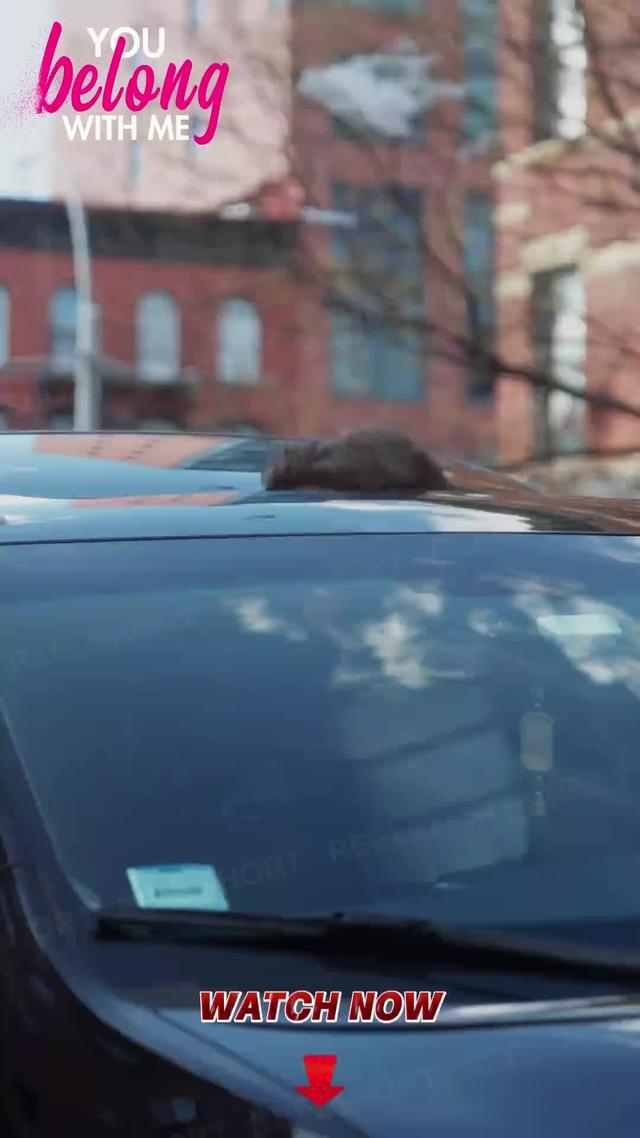 Dive into romance with a girl who must fake marry a billionaire