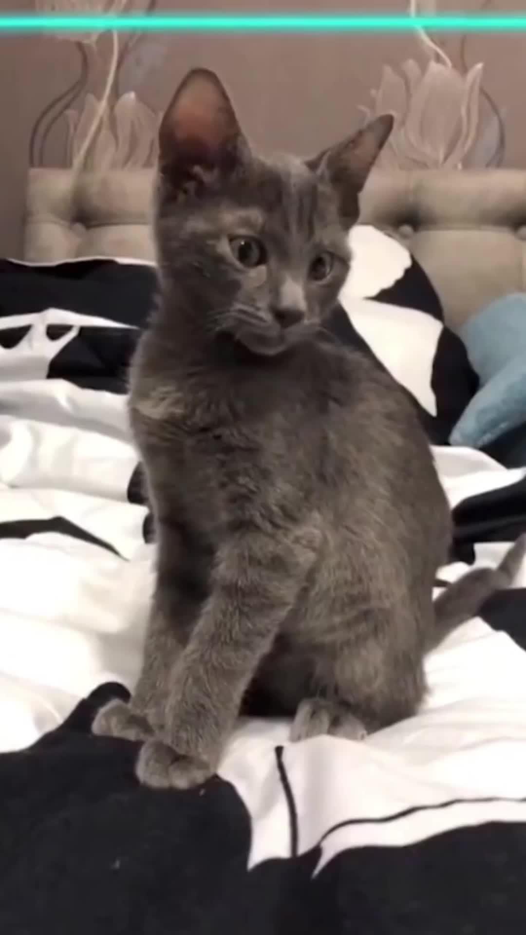 Powerful Photo Editor App